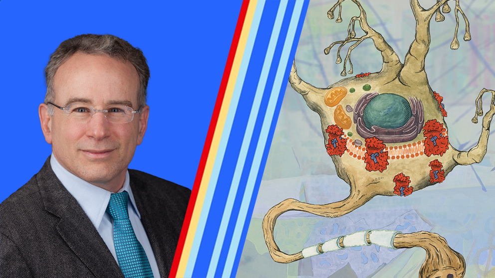 Mike Wolfe and illustration representing synaptic degeneration triggered by stalled γ-secretase enzyme-substrate complexes. Illustration credit: Julia J. Wolfe, M.F.A. (juliajwolfe.com)
